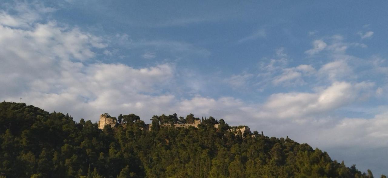 Calma *